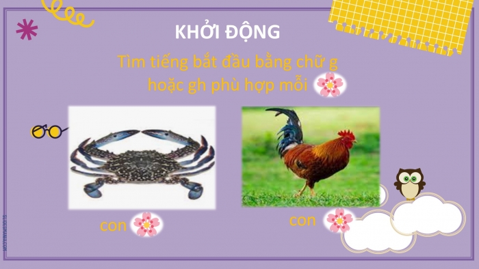 Giáo án điện tử Tiếng Việt 2 chân trời Bài 4: Mở rộng vốn từ Trường học (tiếp theo), Nghe – kể Loài chim học xây tổ