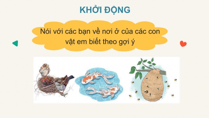 Giáo án điện tử Tiếng Việt 2 chân trời Bài 2: Đọc Ong xây tổ, Nghe – viết Ong xây tổ, Phân biệt ua/uơ, r/d/gi, ên/ênh