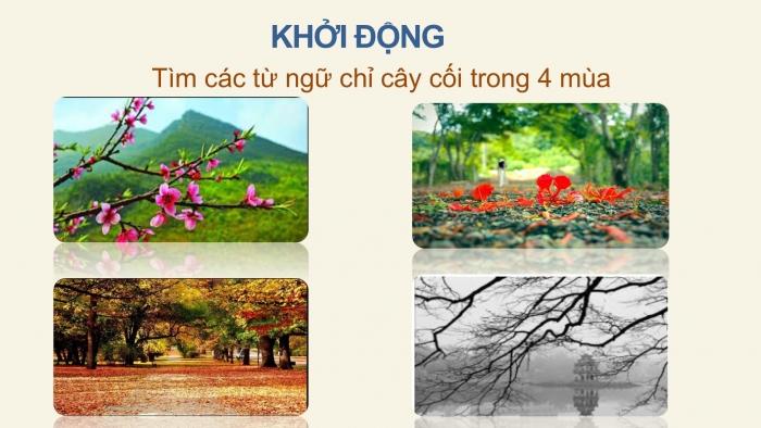 Giáo án điện tử Tiếng Việt 2 chân trời Bài 2: Thuật việc được tham gia