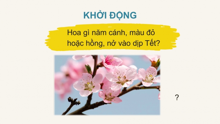 Giáo án điện tử Tiếng Việt 2 chân trời Bài 4: Đọc Hoa mai vàng, Nghe – viết Hoa mai vàng, Phân biệt ao/oa, ch/tr, ich/it