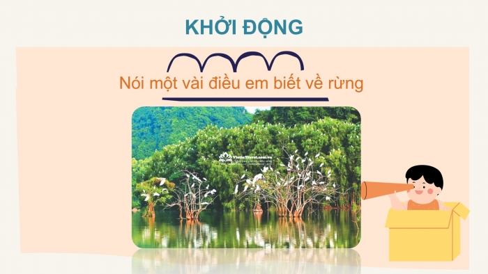 Giáo án điện tử Tiếng Việt 2 chân trời Bài 2: Đọc Rừng ngập mặn Cà Mau, Nghe – viết Rừng ngập mặn Cà Mau, Viết hoa tên địa lí, phân biệt r/d/gi, im/iêm