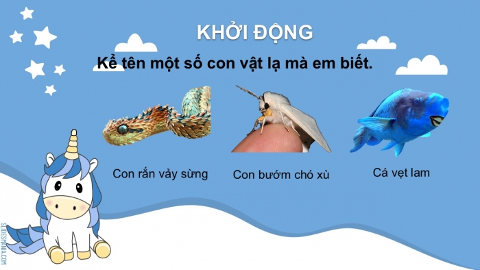 Giáo án điện tử Tiếng Việt 2 chân trời Bài 6: Luyện tập nói, viết về tình cảm với một sự việc (tiếp theo)