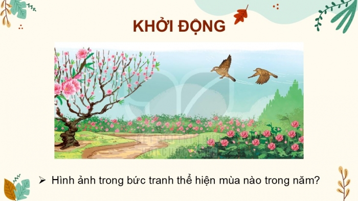 Giáo án điện tử Tiếng Việt 2 kết nối Bài 3: Hoạ mi hót