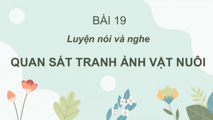 Giáo án điện tử Tiếng Việt 2 cánh diều Bài 19: Quan sát tranh ảnh vật nuôi