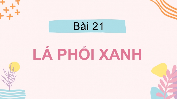 Giáo án điện tử Tiếng Việt 2 cánh diều Bài 21: Tiếng vườn