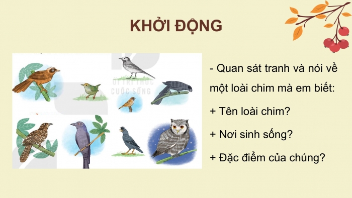 Giáo án điện tử Tiếng Việt 2 kết nối Bài 9: Vè chim