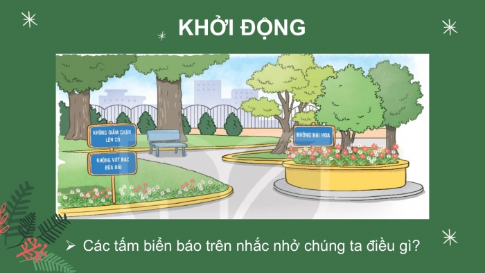 Giáo án điện tử Tiếng Việt 2 kết nối Bài 14: Cỏ non cười rồi