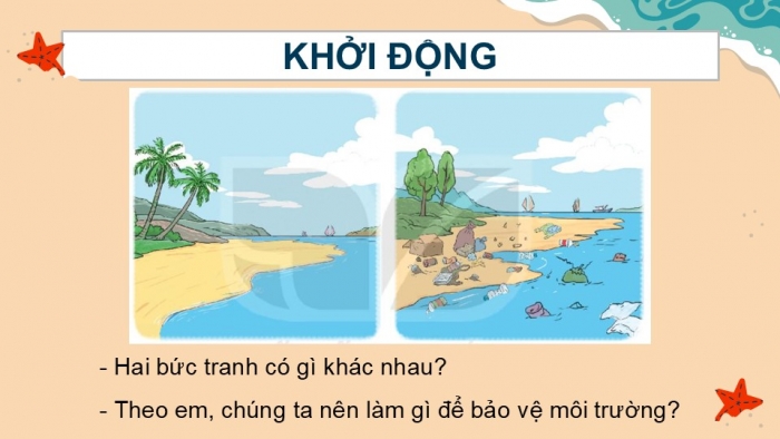 Giáo án điện tử Tiếng Việt 2 kết nối Bài 15: Những con sao biển