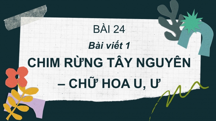 Giáo án điện tử Tiếng Việt 2 cánh diều Bài 24: Nghe – viết Chim rừng Tây Nguyên, Chữ hoa U Ư