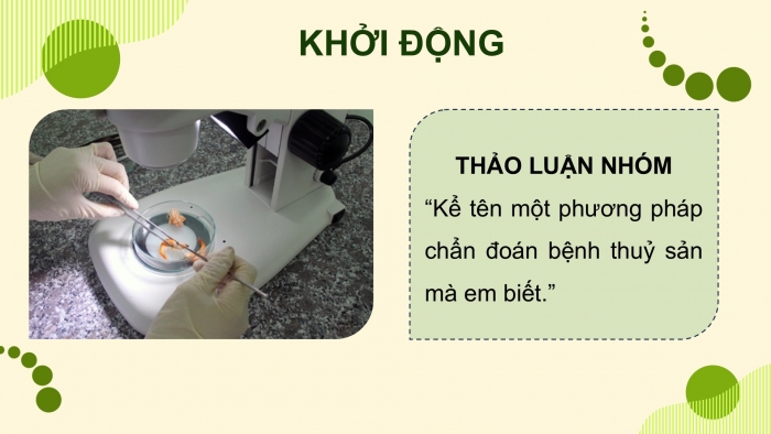 Giáo án điện tử chuyên đề Công nghệ 12 Lâm nghiệp Thuỷ sản Cánh diều Bài 8: Ứng dụng công nghệ sinh học trong chẩn đoán bệnh và sản xuất vaccine phòng bệnh thuỷ sản