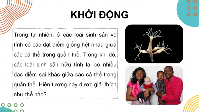 Giáo án điện tử KHTN 9 chân trời - Phân môn Sinh học Bài 43: Di truyền nhiễm sắc thể