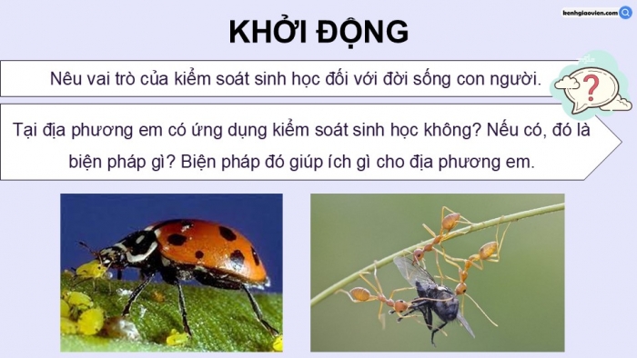 Giáo án điện tử chuyên đề Sinh học 12 chân trời Bài 7 Dự án: Điều tra ứng dụng kiểm soát sinh học tại địa phương