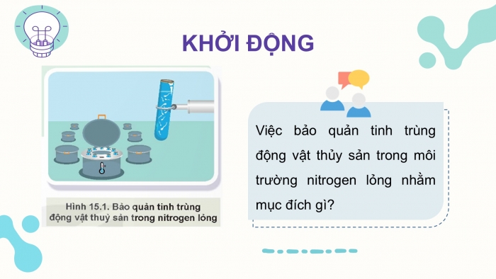 Giáo án điện tử Công nghệ 12 Lâm nghiệp - Thủy sản Kết nối Bài 15: Ứng dụng công nghệ sinh học trong chọn và nhân giống thủy sản