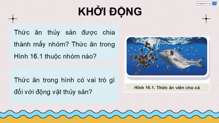 Giáo án điện tử Công nghệ 12 Lâm nghiệp - Thủy sản Kết nối Bài 16: Thức ăn thủy sản