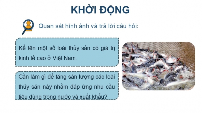 Giáo án điện tử Công nghệ 12 Lâm nghiệp - Thủy sản Kết nối Bài 19: Công nghệ nuôi một số loài thủy sản phổ biến ở Việt Nam