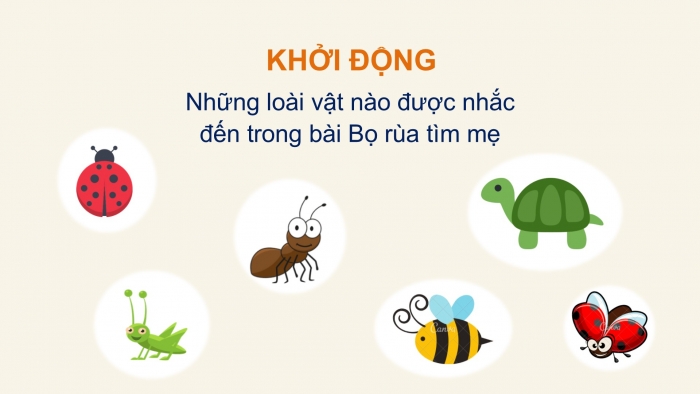 Giáo án điện tử Tiếng Việt 2 chân trời Bài 1: Viết chữ hoa D Đ, Từ chỉ đặc điểm, Câu kiểu Ai thế nào?