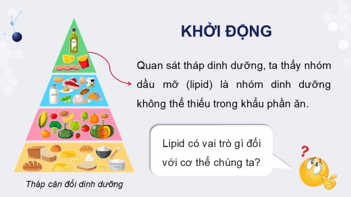 Giáo án điện tử KHTN 9 chân trời - Phân môn Hoá học Bài 26: Lipid và chất béo