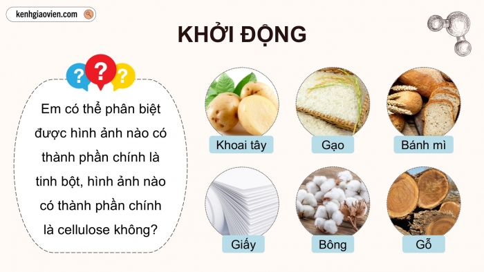 Giáo án điện tử KHTN 9 chân trời - Phân môn Hoá học Bài 28: Tinh bột và cellulose