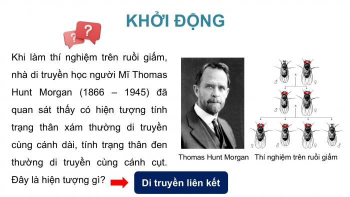 Giáo án điện tử KHTN 9 kết nối - Phân môn Sinh học Bài 45: Di truyền liên kết