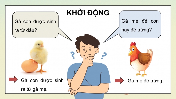 Giáo án điện tử Khoa học 5 kết nối Bài 15: Sinh sản của động vật