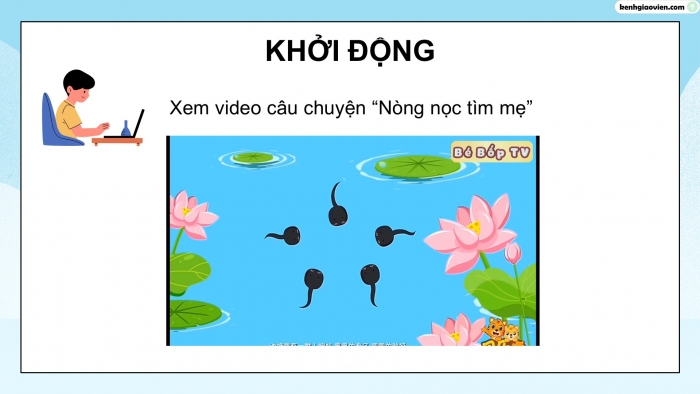 Giáo án điện tử Khoa học 5 kết nối Bài 16: Vòng đời và sự phát triển của động vật