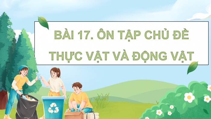 Giáo án điện tử Khoa học 5 kết nối Bài 17: Ôn tập chủ đề Thực vật và động vật