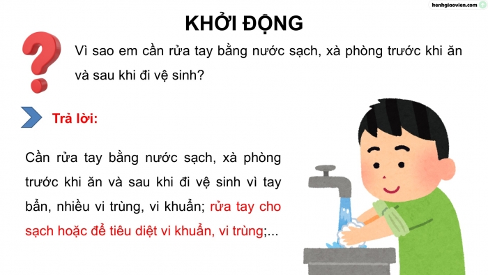 Giáo án điện tử Khoa học 5 kết nối Bài 18: Vi khuẩn xung quanh chúng ta