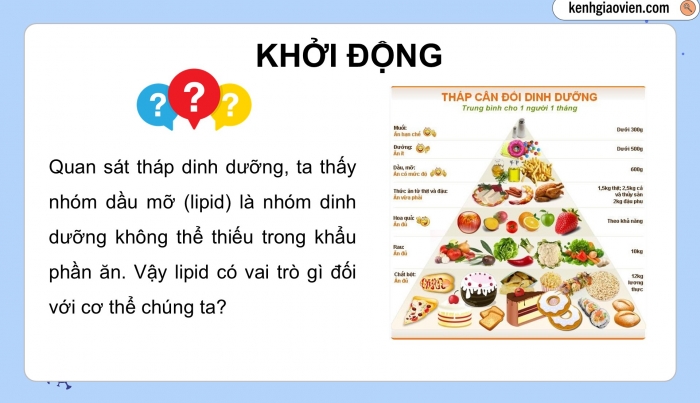 Giáo án điện tử KHTN 9 cánh diều - Phân môn Hoá học Bài 25: Lipid và chất béo