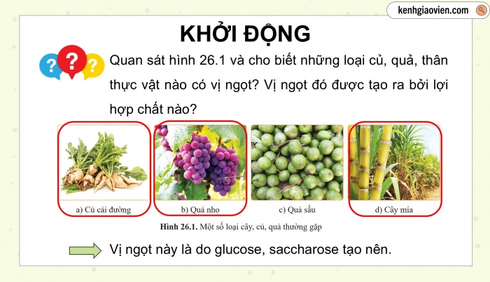 Giáo án điện tử KHTN 9 cánh diều - Phân môn Hoá học Bài 26: Glucose và saccharose