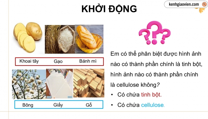 Giáo án điện tử KHTN 9 cánh diều - Phân môn Hoá học Bài 27: Tinh bột và cellulose