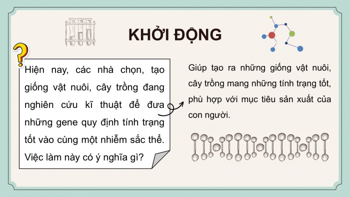 Giáo án điện tử KHTN 9 cánh diều - Phân môn Sinh học Bài 39: Di truyền liên kết và cơ chế xác định giới tính