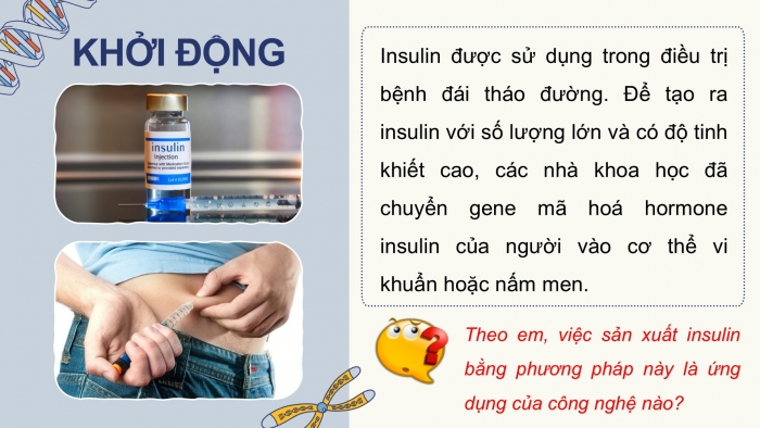 Giáo án điện tử KHTN 9 cánh diều - Phân môn Sinh học Bài 41: Ứng dụng công nghệ di truyền vào đời sống