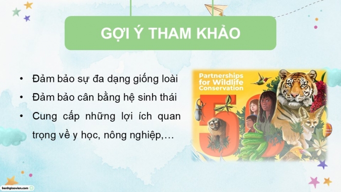 Giáo án điện tử Tiếng Việt 5 chân trời Bài 6: Thiên đường của các loài động vật hoang dã