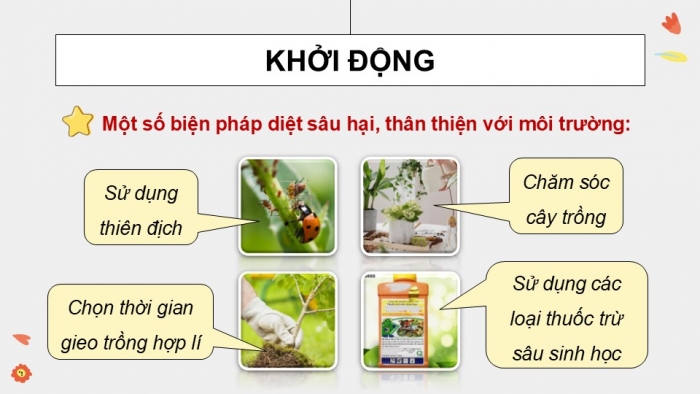 Giáo án điện tử chuyên đề Sinh học 12 cánh diều Bài 5: Khái niệm và vai trò của kiểm soát sinh học