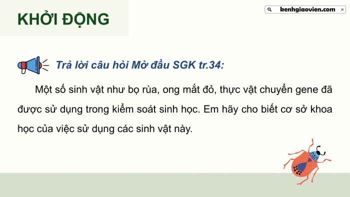 Giáo án điện tử chuyên đề Sinh học 12 cánh diều Bài 6: Cơ sở của kiểm soát sinh học