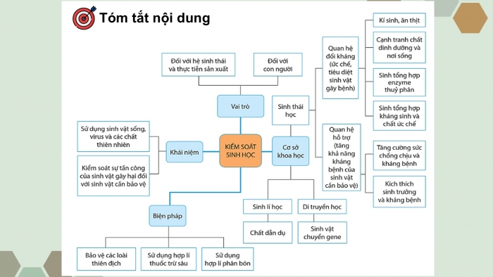 Giáo án điện tử chuyên đề Sinh học 12 cánh diều Ôn tập CĐ 2