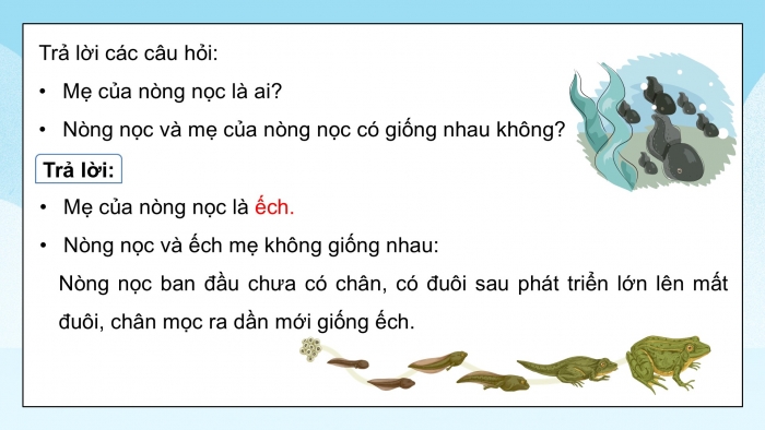 Giáo án điện tử Khoa học 5 chân trời Bài 16: Sự lớn lên và phát triển của động vật