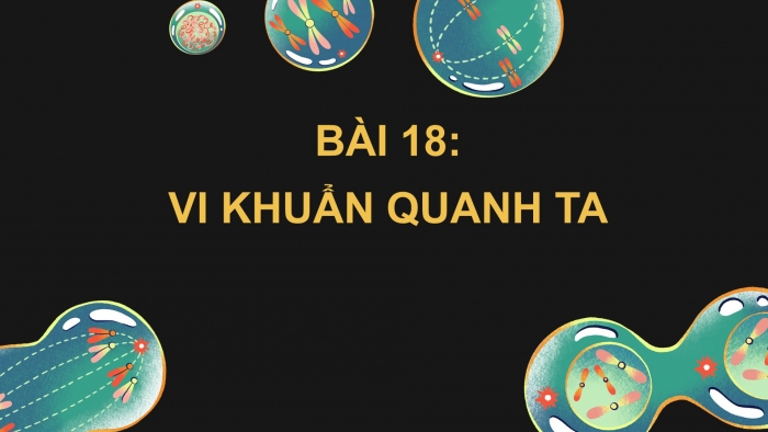 Giáo án điện tử Khoa học 5 chân trời Bài 18: Vi khuẩn quanh ta