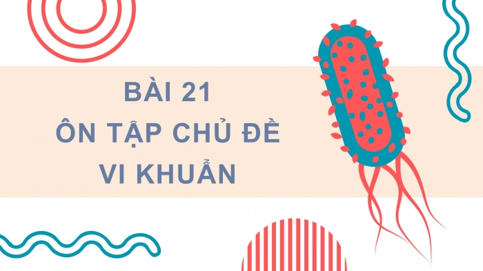 Giáo án điện tử Khoa học 5 chân trời Bài 21: Ôn tập chủ đề Vi khuẩn