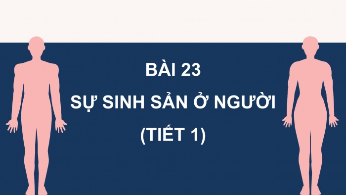 Giáo án điện tử Khoa học 5 chân trời Bài 23: Sự sinh sản ở người