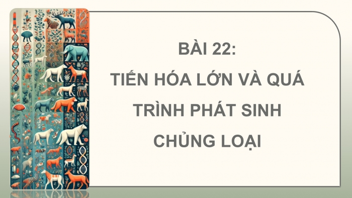 Giáo án điện tử Sinh học 12 kết nối Bài 22: Tiến hoá lớn và quá trình phát sinh chủng loại