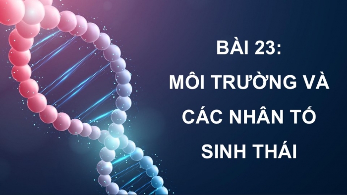 Giáo án điện tử Sinh học 12 kết nối Bài 23: Môi trường và các nhân tố sinh thái