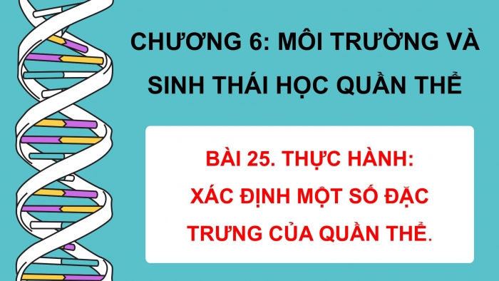 Giáo án điện tử Sinh học 12 kết nối Bài 25: Thực hành Xác định một số đặc trưng của quần thể