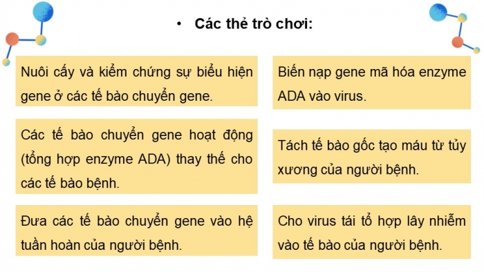 Giáo án điện tử Sinh học 12 chân trời Bài Ôn tập Chương 3