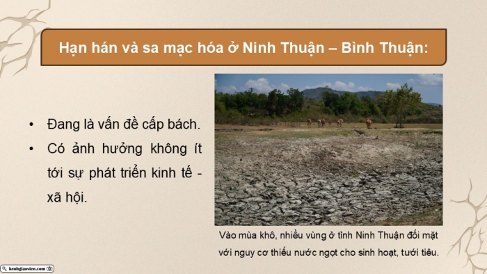 Giáo án điện tử Địa lí 9 cánh diều Bài 14: Thực hành Phân tích ảnh hưởng của nạn hạn hán và sa mạc hóa ở vùng khô hạn Ninh Thuận - Bình Thuận