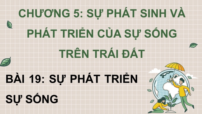 Giáo án điện tử Sinh học 12 chân trời Bài 19: Sự phát triển sự sống