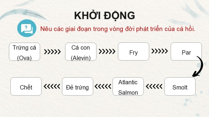 Giáo án điện tử Công nghệ 12 Lâm nghiệp Thủy sản Cánh diều Bài 15: Đặc điểm sinh sản và kĩ thuật ương cá, tôm giống