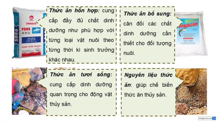 Giáo án điện tử Công nghệ 12 Lâm nghiệp Thủy sản Cánh diều Bài 16: Thành phần dinh dưỡng của thức ăn thủy sản