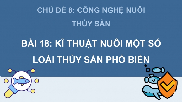 Giáo án điện tử Công nghệ 12 Lâm nghiệp Thủy sản Cánh diều Bài 18: Kĩ thuật nuôi một số loài thủy sản phổ biến