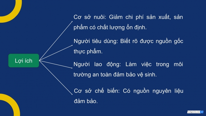 Giáo án điện tử Công nghệ 12 Lâm nghiệp Thủy sản Cánh diều Bài 19: Quy trình nuôi thủy sản theo tiêu chuẩn VietGAP